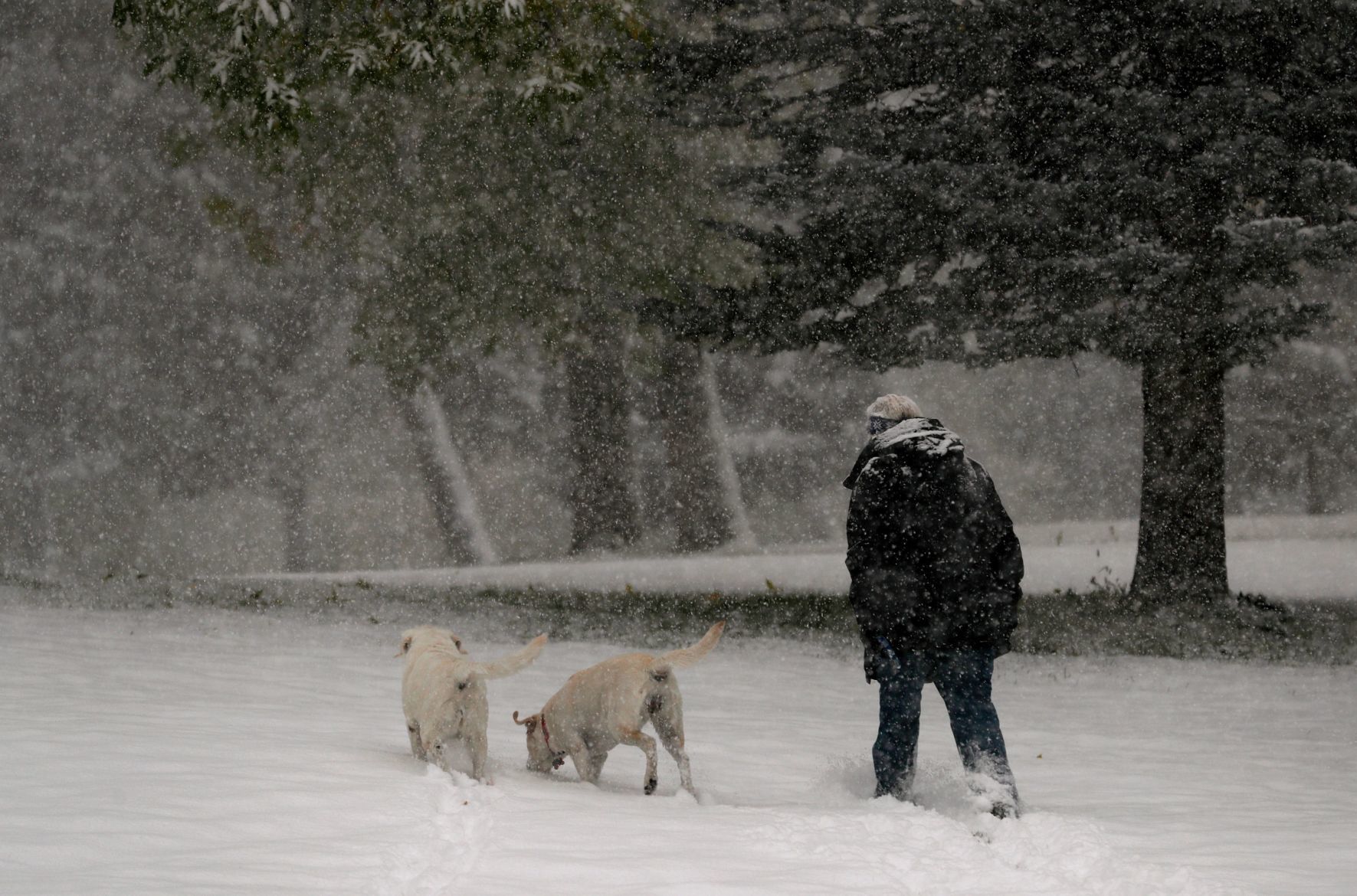 Snowstorm